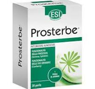 პროსტერბე