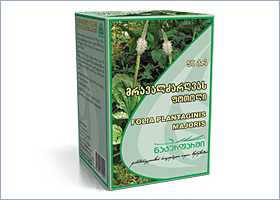 მრავალძარღვას ფოთოლი