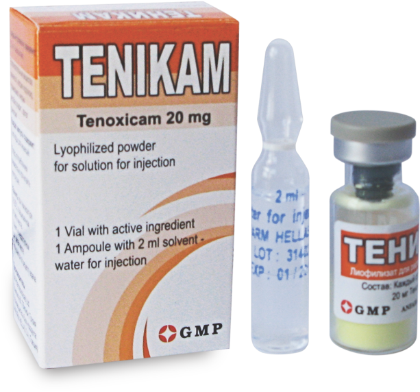 ტენიკამი