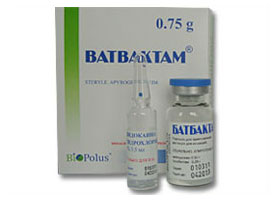 ბათბაქტამი