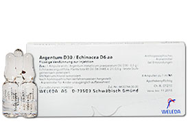 არგენტუმი D 30/ ექინაცეა D 6 აა - ველედა