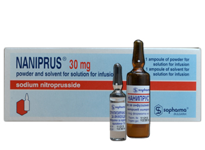 ნანიპრუსი