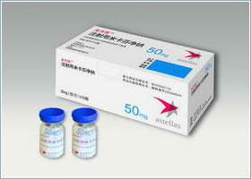 მიკამინი