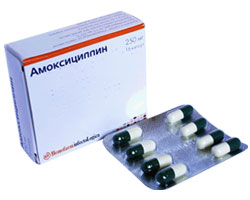 ამოქსიცილინი