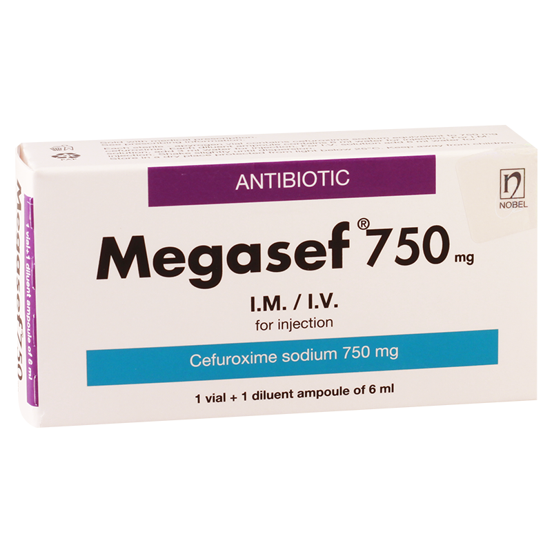 მეგასეფი