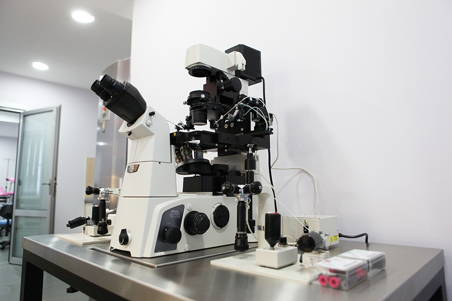 კლინიკა ლიდერმედი • კლინიკა ინ ვიტრო