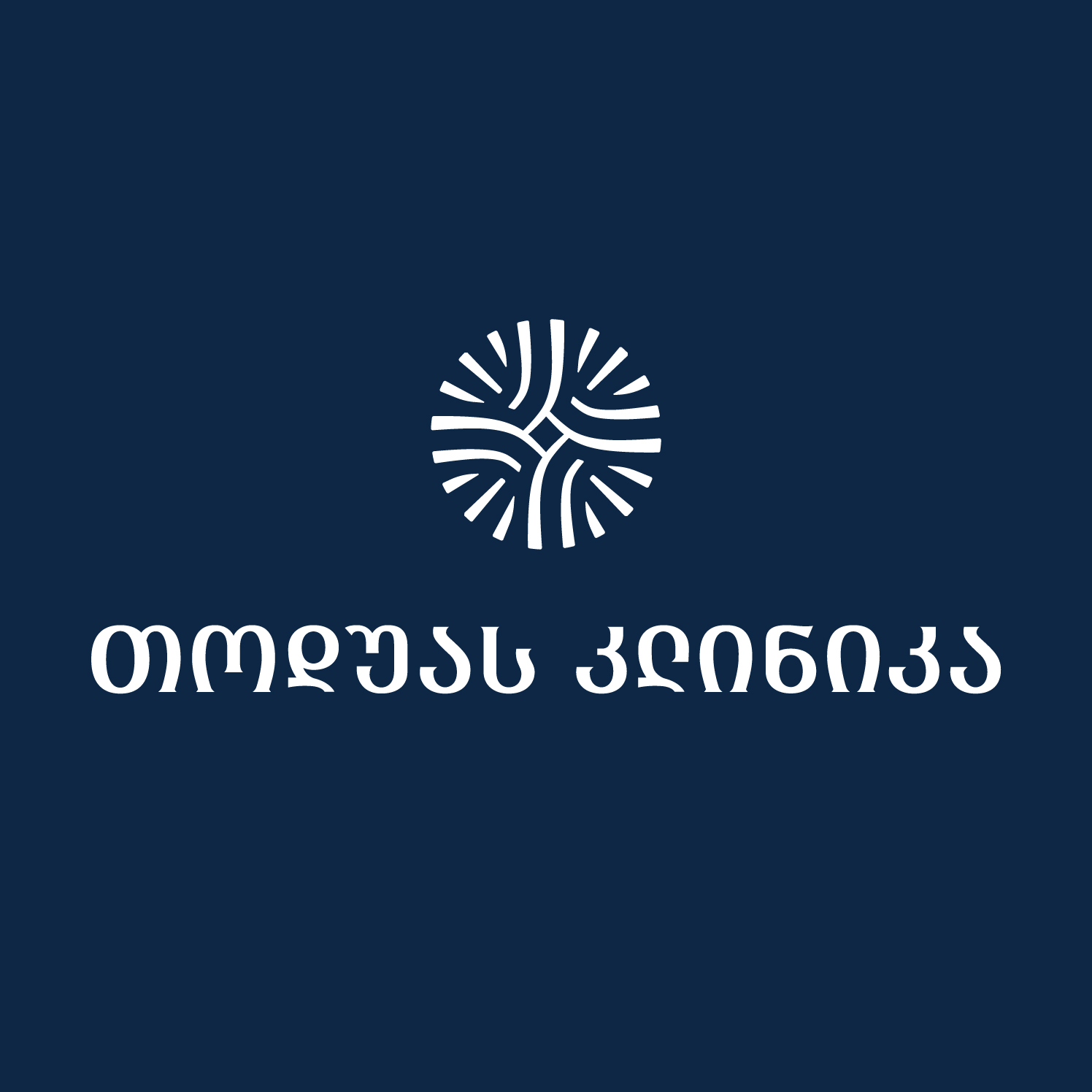 თოდუას კლინიკა-დიღმის ფილიალი