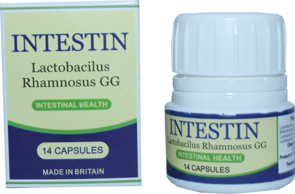 ინტესტინი