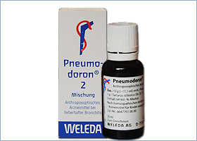 პნევმოდორონ 2 - ველედა