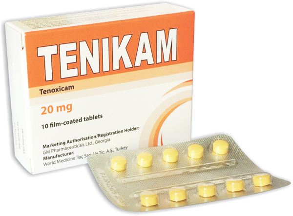 ტენიკამი