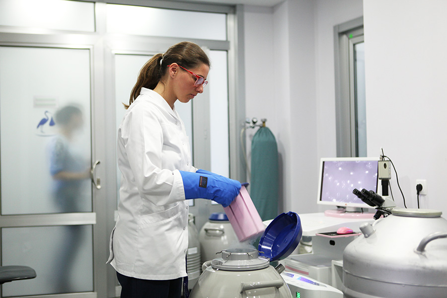 კლინიკა ლიდერმედი • კლინიკა ინ ვიტრო