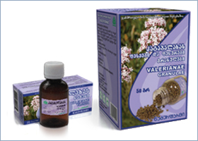 კატაბალახას ფესვები და ფესურები