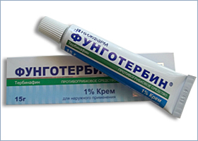 ფუნგოტერბინი