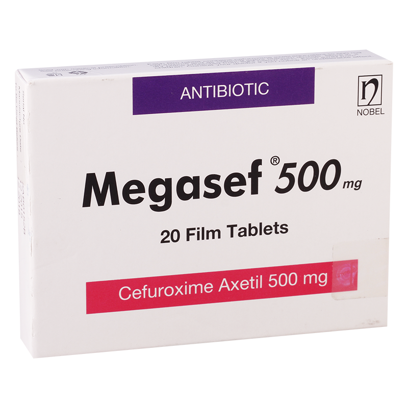 მეგასეფი