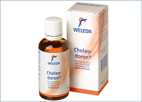 ხოლეოდორონი - ველედა