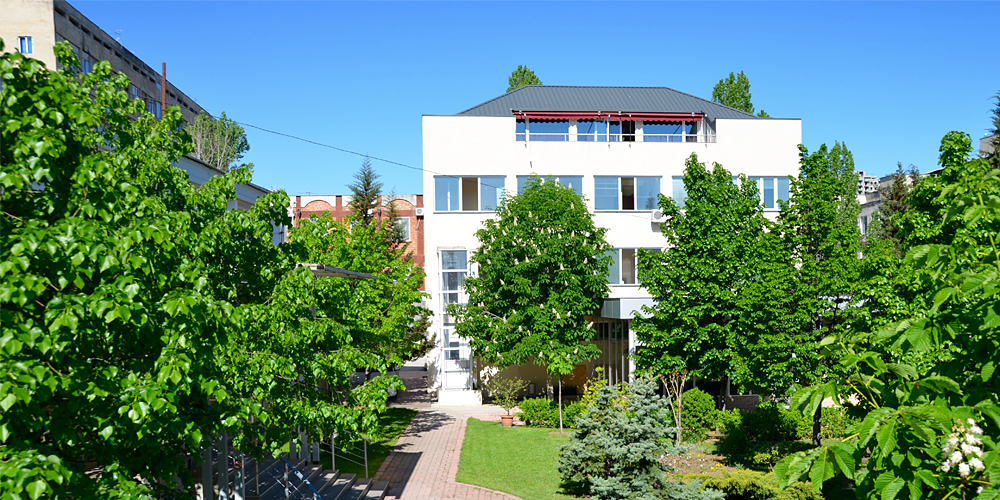 კონსილიუმ მედულა