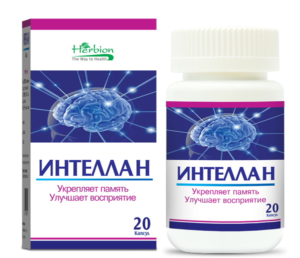 ინტელანი