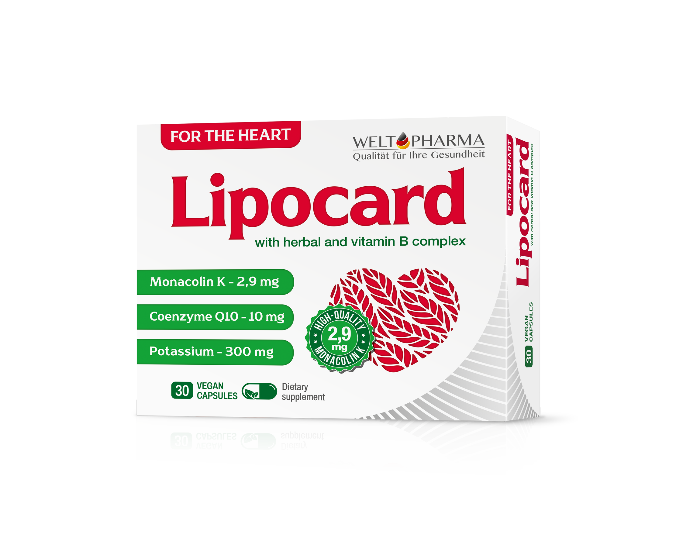 ლიპოკარდი