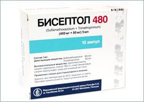 ბისეპტოლი 480